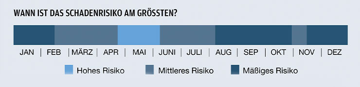 Grafik: In welchem Monat ist das Schadensrisiko am größten?